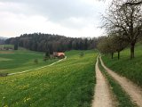 IMG_5919