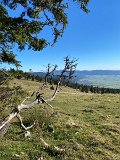 IMG_5096