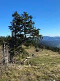 IMG_5098