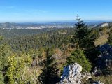 IMG_5099