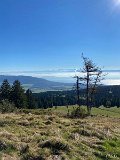 IMG_5103