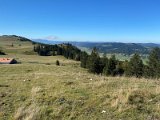 IMG_5106