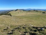 IMG_5109