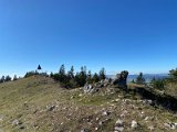 IMG_5110