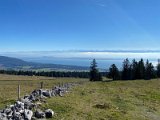 IMG_5117
