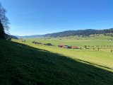 IMG_5123