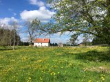 IMG_8270 (Bearbeitet)