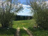 IMG_8276