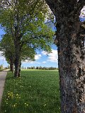 IMG_8281