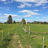 IMG_8295