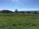 IMG_8320