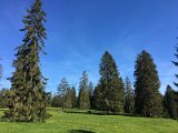 IMG_8323