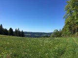 IMG_8327
