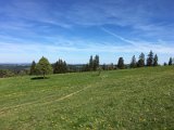 IMG_8334