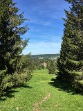 IMG_8342