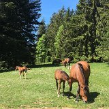 IMG_8350 (Bearbeitet)