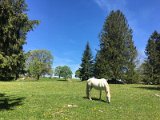 IMG_8351