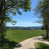 IMG_8353