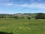 IMG_8354