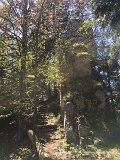 IMG_8357