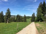 IMG_8366