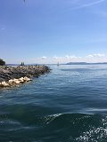IMG_4993
