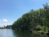 IMG_8197