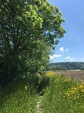 IMG_8202