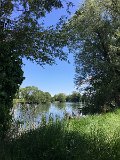 IMG_8203