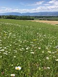 IMG_8205