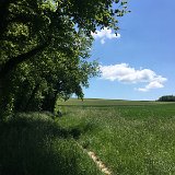 IMG_8209