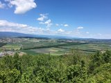 IMG_8210