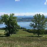 IMG_8212