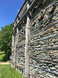 IMG_8215