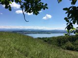 IMG_8216