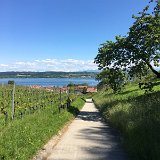 IMG_8230