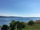 IMG_8232