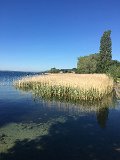 IMG_8263