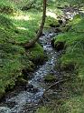 DSCF3387