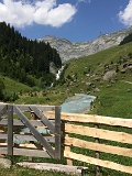 IMG_9650