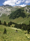 IMG_9654