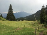 IMG_9764