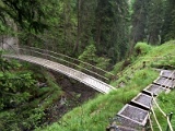 IMG_9788