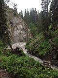 IMG_9791