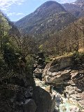 IMG_7949