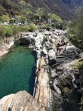 IMG_7981