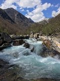 IMG_7991