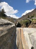 IMG_8352