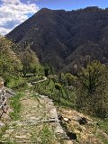 IMG_7839