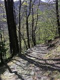 IMG_7843